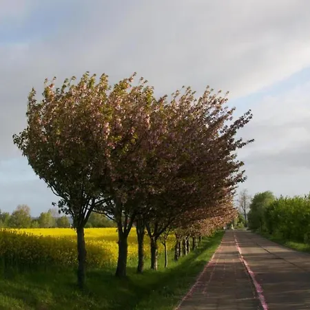 Strandhaus An Der Wohlenberger Wiek 펜션 *
