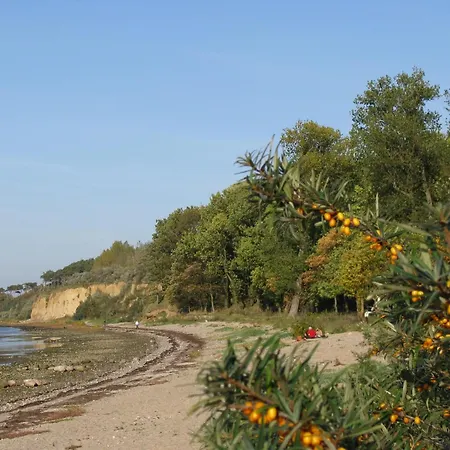 Strandhaus An Der Wohlenberger Wiek 펜션 Hohenkirchen (Nordwestmecklenburg)